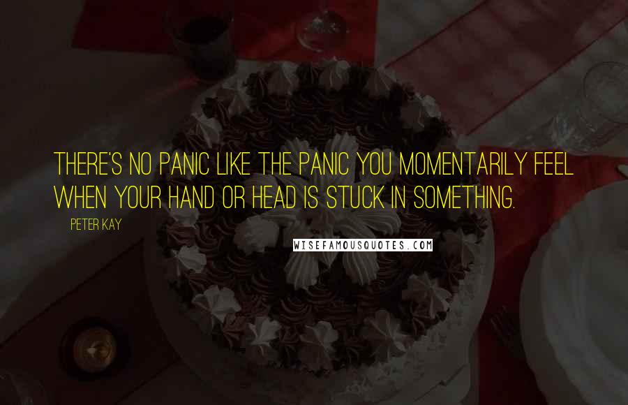 Peter Kay Quotes: There's no panic like the panic you momentarily feel when your hand or head is stuck in something.