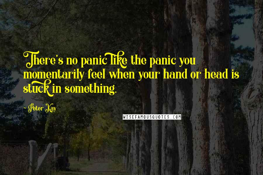 Peter Kay Quotes: There's no panic like the panic you momentarily feel when your hand or head is stuck in something.