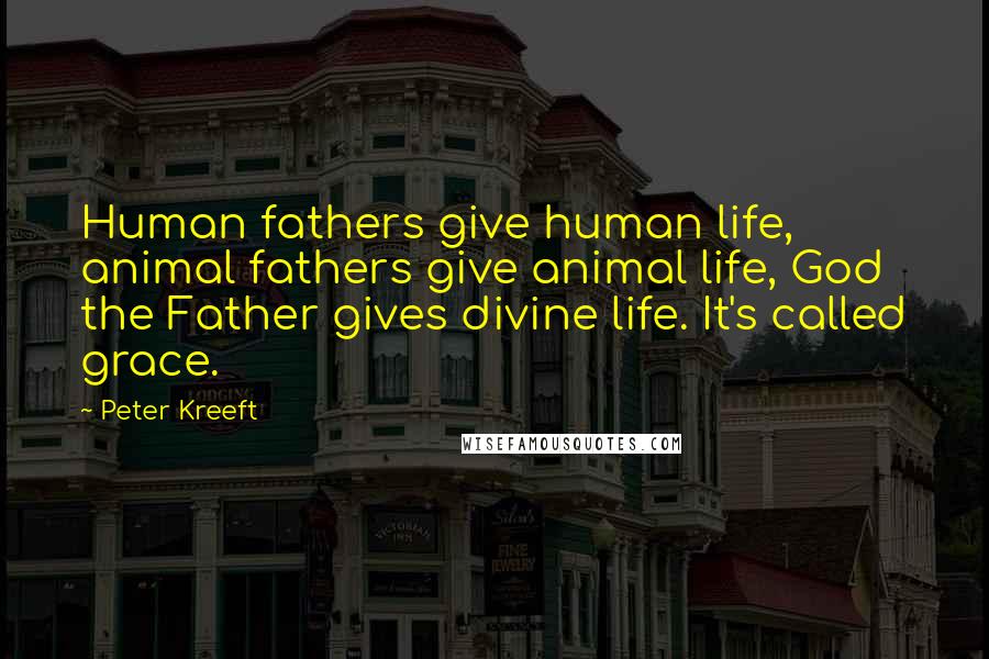 Peter Kreeft Quotes: Human fathers give human life, animal fathers give animal life, God the Father gives divine life. It's called grace.