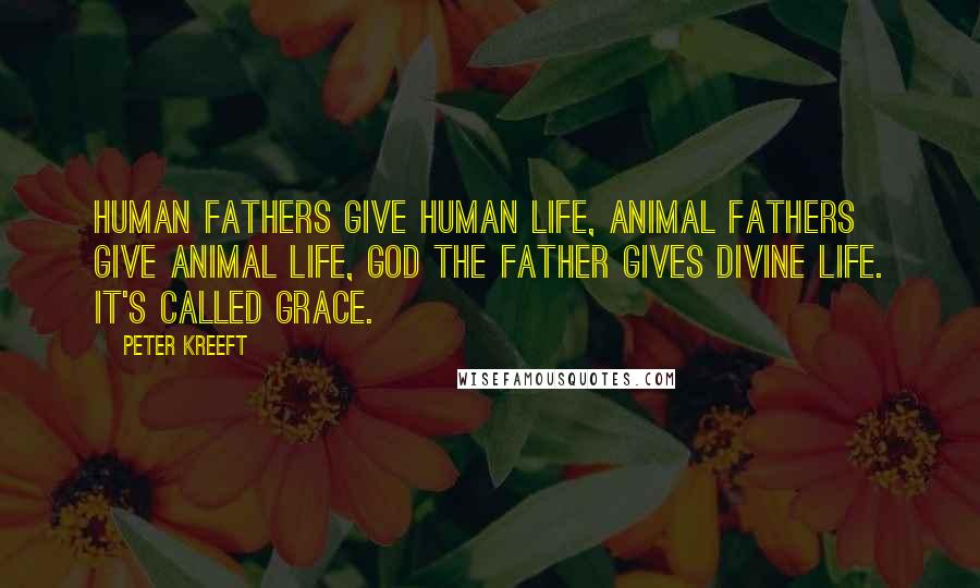 Peter Kreeft Quotes: Human fathers give human life, animal fathers give animal life, God the Father gives divine life. It's called grace.