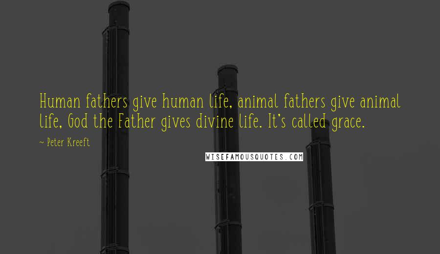 Peter Kreeft Quotes: Human fathers give human life, animal fathers give animal life, God the Father gives divine life. It's called grace.