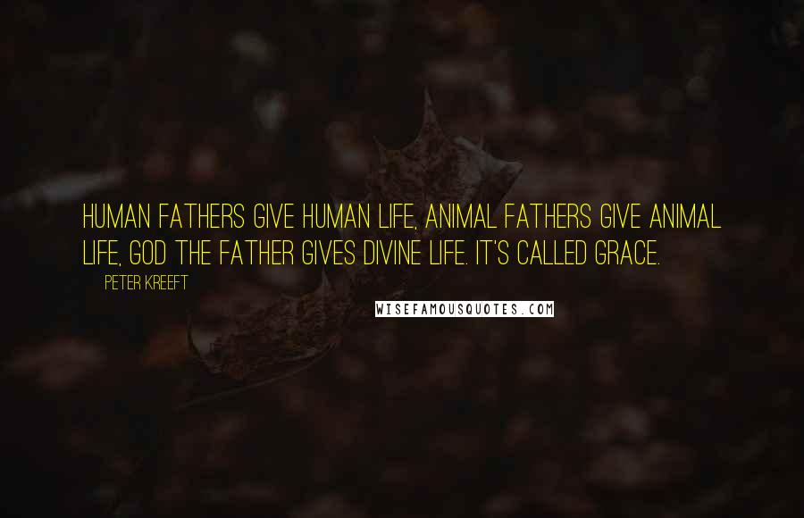 Peter Kreeft Quotes: Human fathers give human life, animal fathers give animal life, God the Father gives divine life. It's called grace.