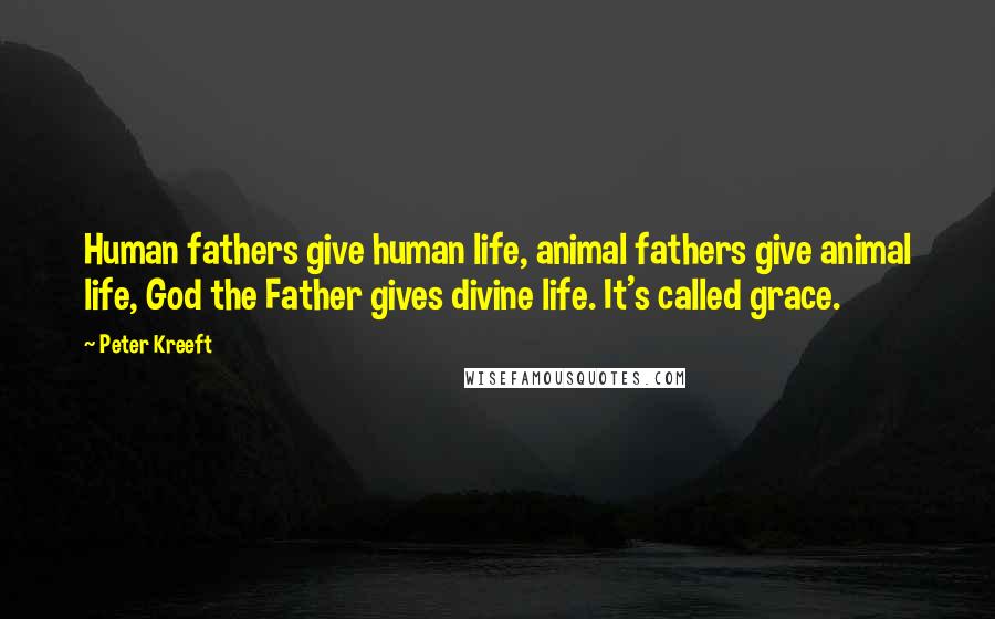 Peter Kreeft Quotes: Human fathers give human life, animal fathers give animal life, God the Father gives divine life. It's called grace.