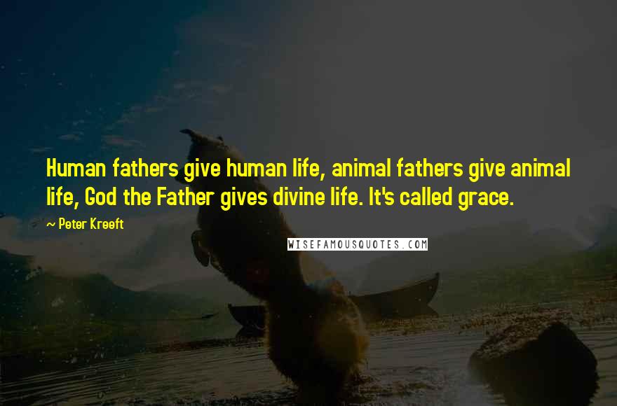 Peter Kreeft Quotes: Human fathers give human life, animal fathers give animal life, God the Father gives divine life. It's called grace.