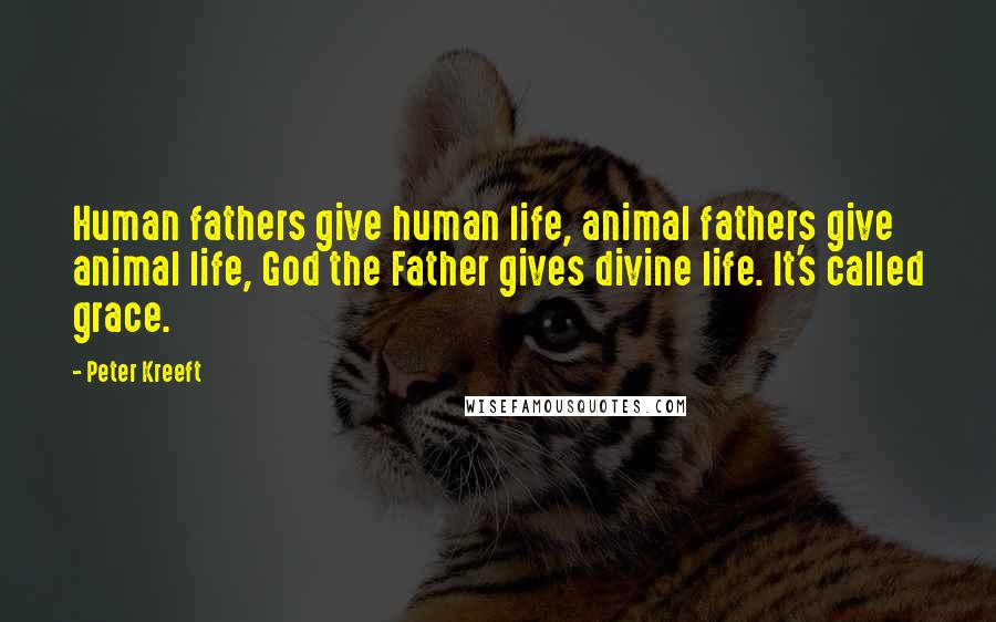 Peter Kreeft Quotes: Human fathers give human life, animal fathers give animal life, God the Father gives divine life. It's called grace.