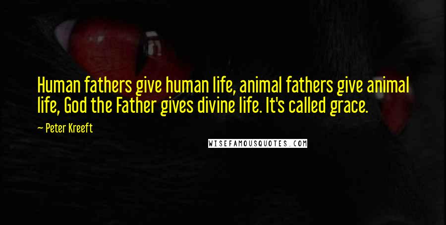 Peter Kreeft Quotes: Human fathers give human life, animal fathers give animal life, God the Father gives divine life. It's called grace.