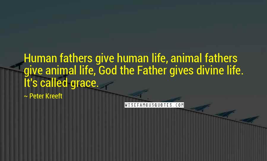 Peter Kreeft Quotes: Human fathers give human life, animal fathers give animal life, God the Father gives divine life. It's called grace.