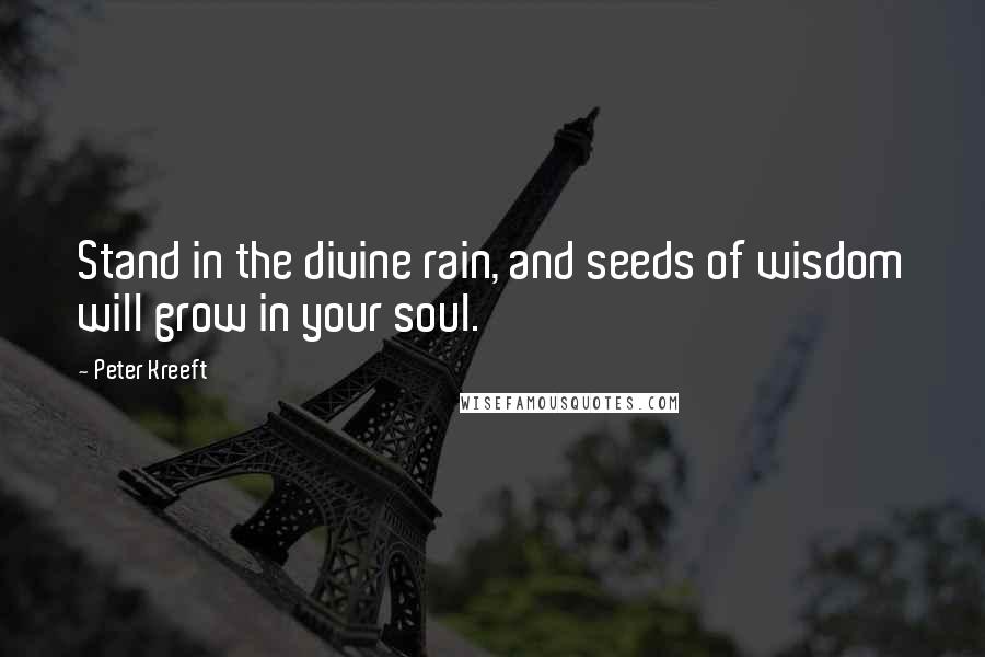 Peter Kreeft Quotes: Stand in the divine rain, and seeds of wisdom will grow in your soul.