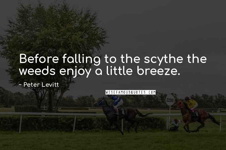 Peter Levitt Quotes: Before falling to the scythe the weeds enjoy a little breeze.