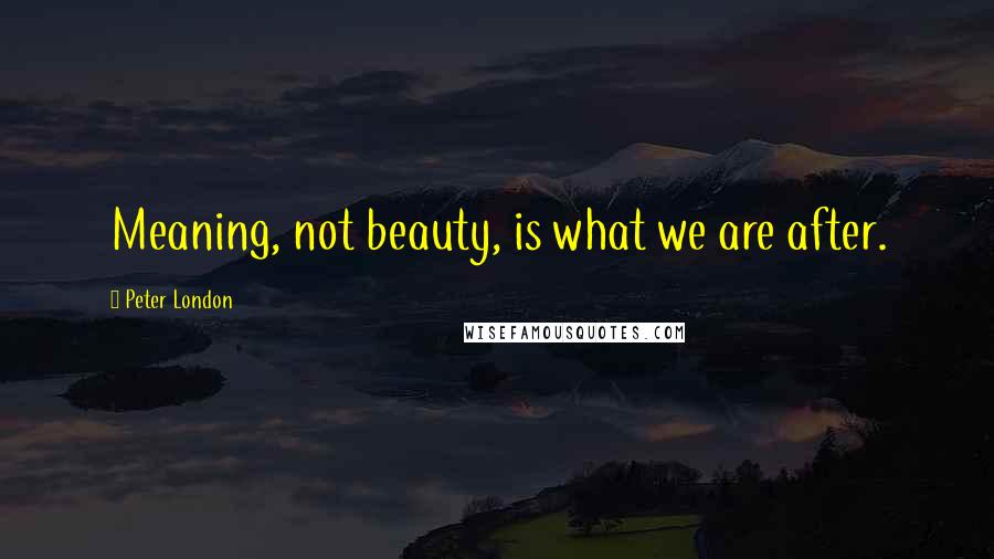 Peter London Quotes: Meaning, not beauty, is what we are after.