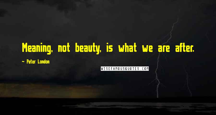 Peter London Quotes: Meaning, not beauty, is what we are after.