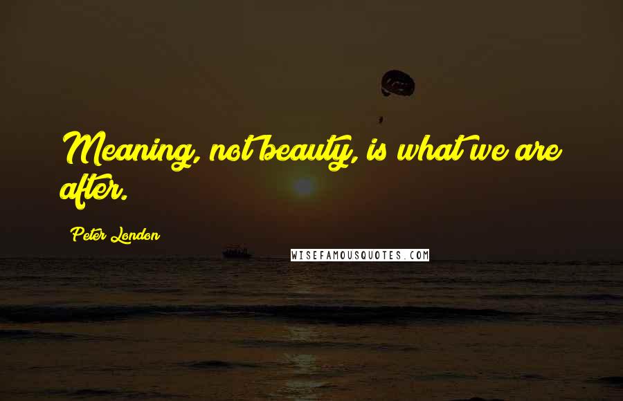 Peter London Quotes: Meaning, not beauty, is what we are after.