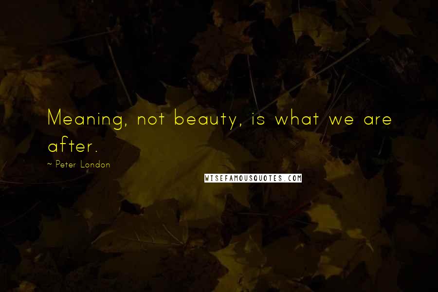 Peter London Quotes: Meaning, not beauty, is what we are after.
