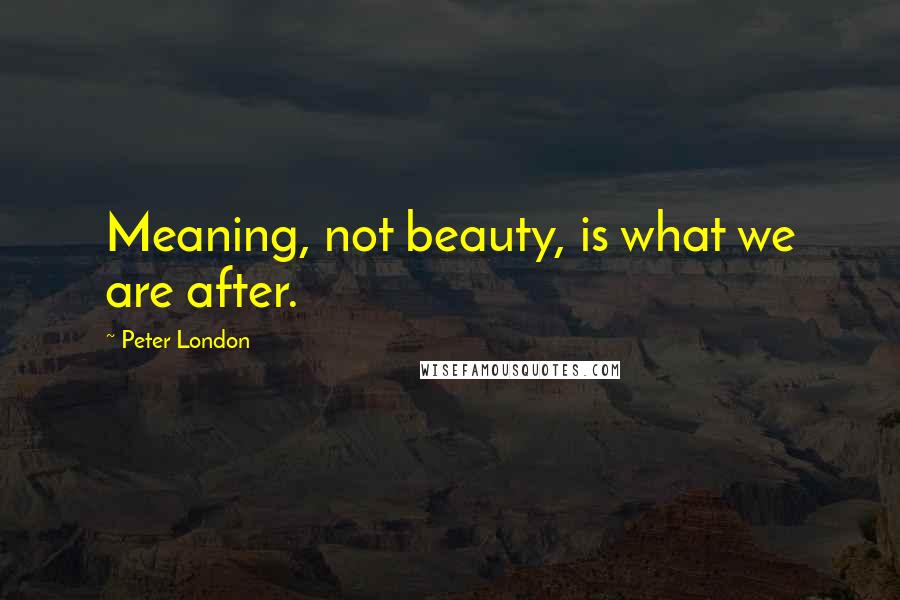 Peter London Quotes: Meaning, not beauty, is what we are after.