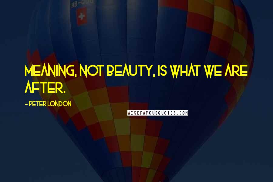 Peter London Quotes: Meaning, not beauty, is what we are after.