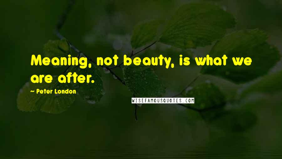 Peter London Quotes: Meaning, not beauty, is what we are after.