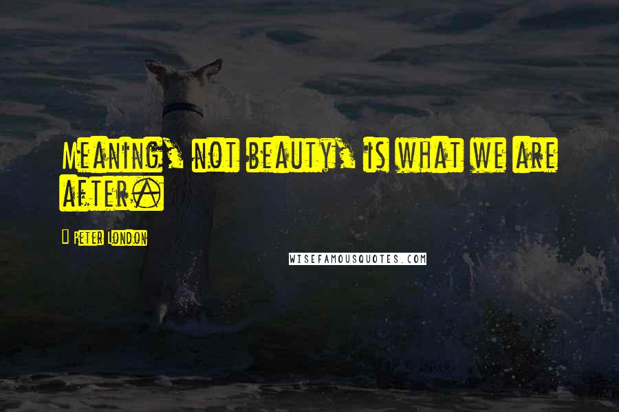 Peter London Quotes: Meaning, not beauty, is what we are after.