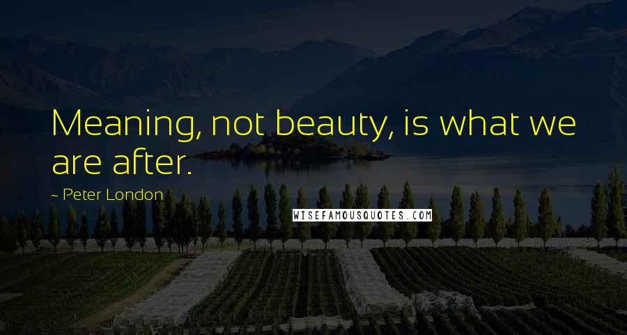 Peter London Quotes: Meaning, not beauty, is what we are after.