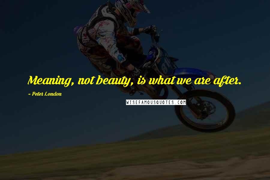 Peter London Quotes: Meaning, not beauty, is what we are after.