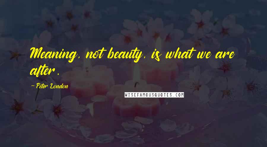 Peter London Quotes: Meaning, not beauty, is what we are after.