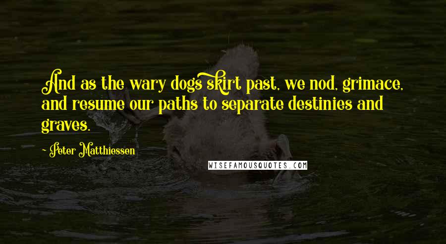 Peter Matthiessen Quotes: And as the wary dogs skirt past, we nod, grimace, and resume our paths to separate destinies and graves.