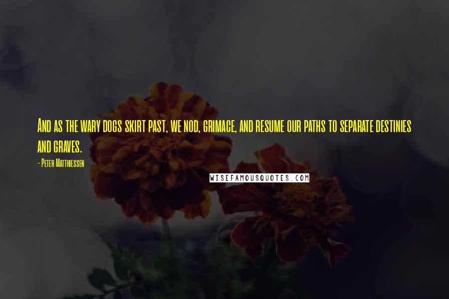 Peter Matthiessen Quotes: And as the wary dogs skirt past, we nod, grimace, and resume our paths to separate destinies and graves.