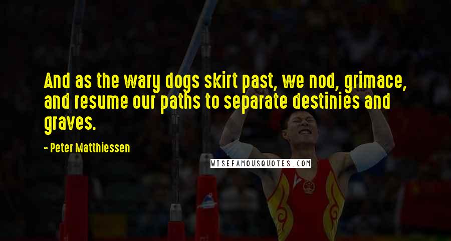 Peter Matthiessen Quotes: And as the wary dogs skirt past, we nod, grimace, and resume our paths to separate destinies and graves.