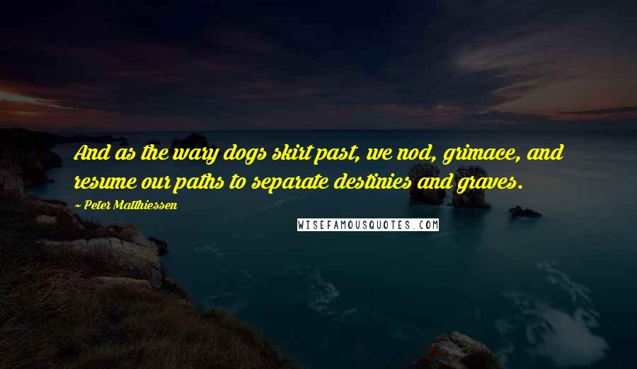 Peter Matthiessen Quotes: And as the wary dogs skirt past, we nod, grimace, and resume our paths to separate destinies and graves.