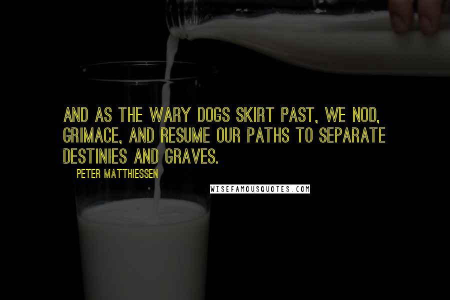 Peter Matthiessen Quotes: And as the wary dogs skirt past, we nod, grimace, and resume our paths to separate destinies and graves.