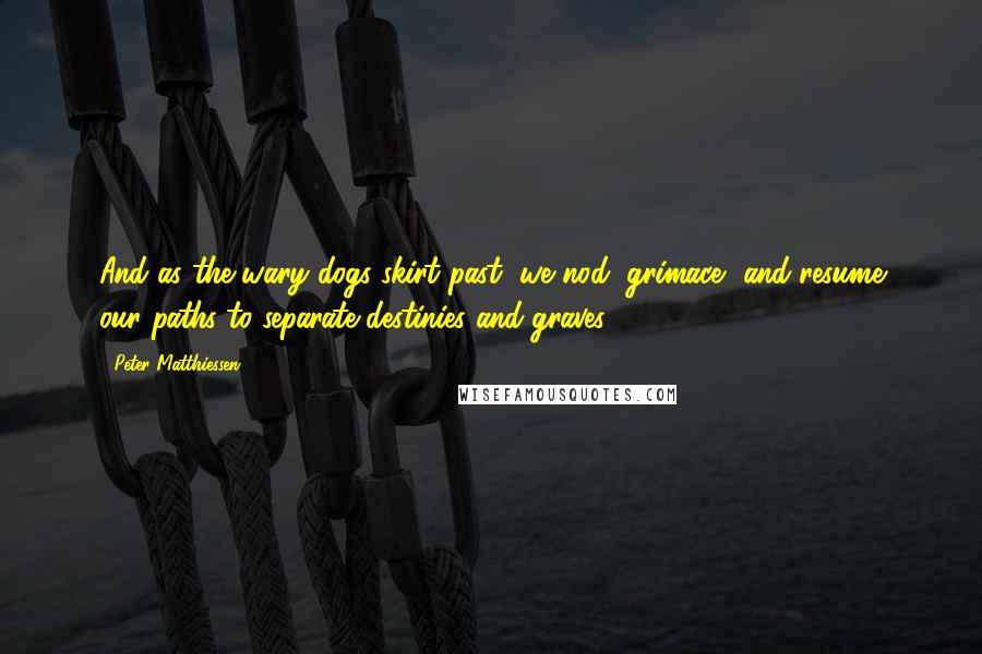 Peter Matthiessen Quotes: And as the wary dogs skirt past, we nod, grimace, and resume our paths to separate destinies and graves.