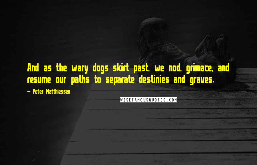 Peter Matthiessen Quotes: And as the wary dogs skirt past, we nod, grimace, and resume our paths to separate destinies and graves.