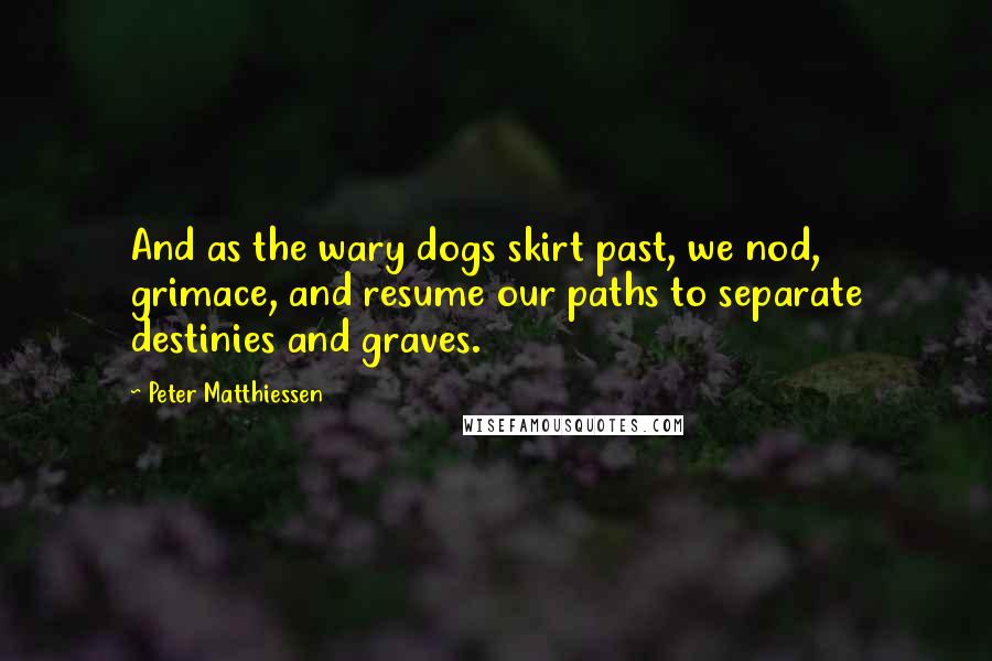 Peter Matthiessen Quotes: And as the wary dogs skirt past, we nod, grimace, and resume our paths to separate destinies and graves.