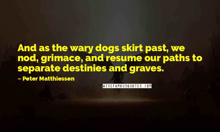 Peter Matthiessen Quotes: And as the wary dogs skirt past, we nod, grimace, and resume our paths to separate destinies and graves.