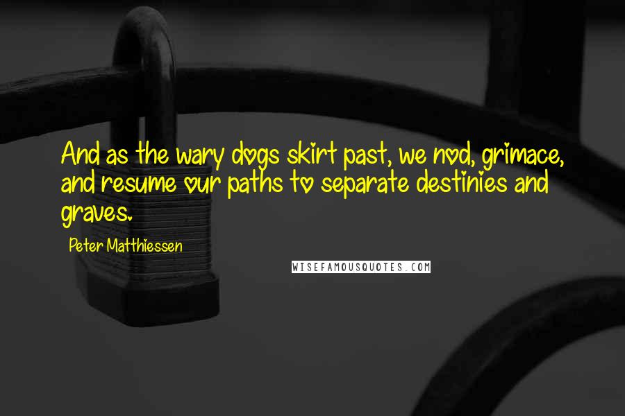 Peter Matthiessen Quotes: And as the wary dogs skirt past, we nod, grimace, and resume our paths to separate destinies and graves.