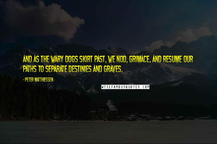 Peter Matthiessen Quotes: And as the wary dogs skirt past, we nod, grimace, and resume our paths to separate destinies and graves.