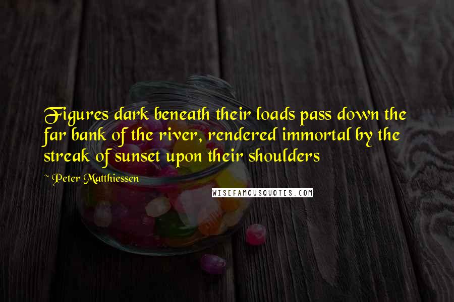 Peter Matthiessen Quotes: Figures dark beneath their loads pass down the far bank of the river, rendered immortal by the streak of sunset upon their shoulders