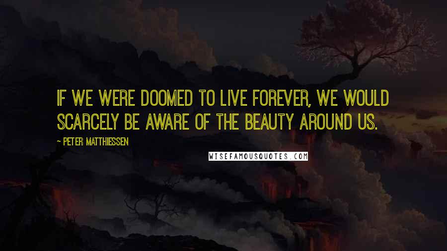 Peter Matthiessen Quotes: If we were doomed to live forever, we would scarcely be aware of the beauty around us.