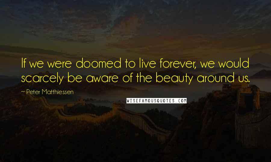 Peter Matthiessen Quotes: If we were doomed to live forever, we would scarcely be aware of the beauty around us.