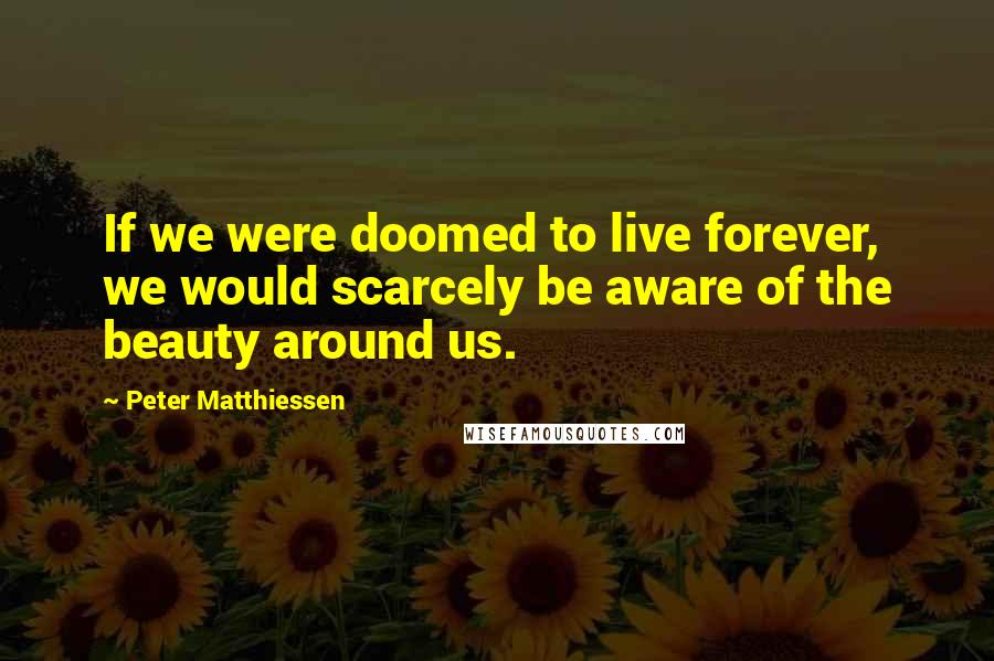 Peter Matthiessen Quotes: If we were doomed to live forever, we would scarcely be aware of the beauty around us.