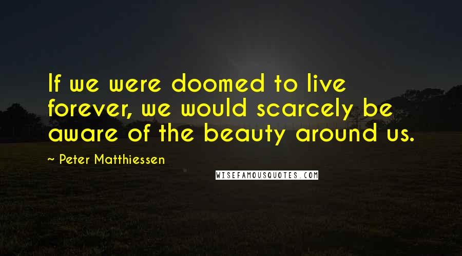 Peter Matthiessen Quotes: If we were doomed to live forever, we would scarcely be aware of the beauty around us.