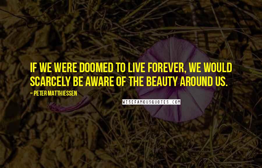 Peter Matthiessen Quotes: If we were doomed to live forever, we would scarcely be aware of the beauty around us.