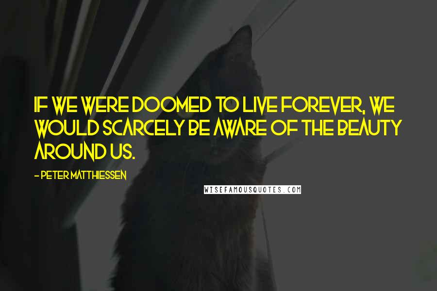 Peter Matthiessen Quotes: If we were doomed to live forever, we would scarcely be aware of the beauty around us.