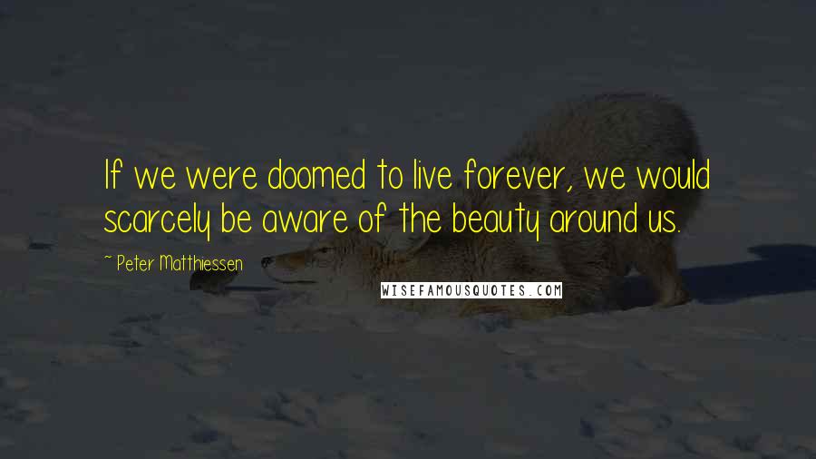 Peter Matthiessen Quotes: If we were doomed to live forever, we would scarcely be aware of the beauty around us.