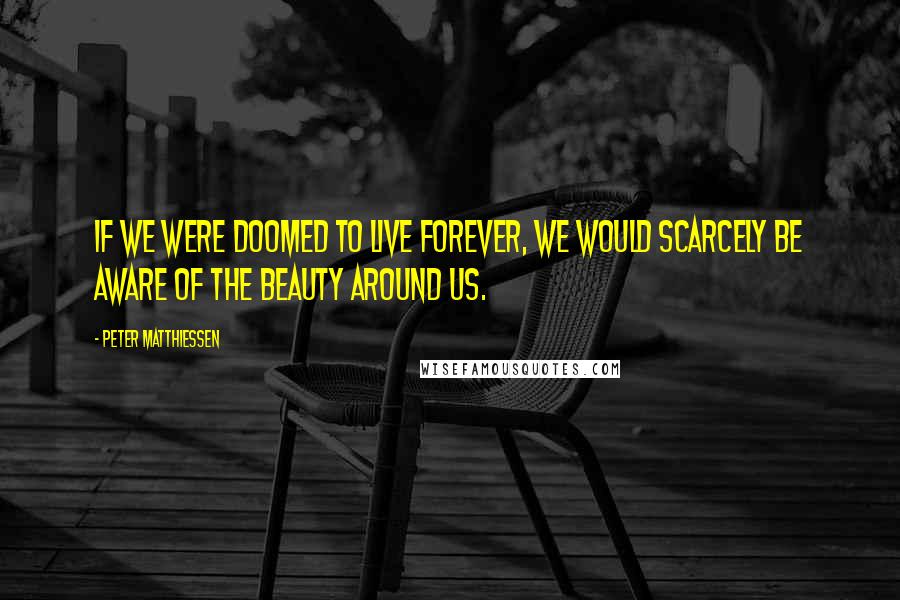 Peter Matthiessen Quotes: If we were doomed to live forever, we would scarcely be aware of the beauty around us.