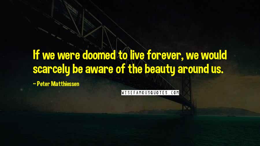 Peter Matthiessen Quotes: If we were doomed to live forever, we would scarcely be aware of the beauty around us.