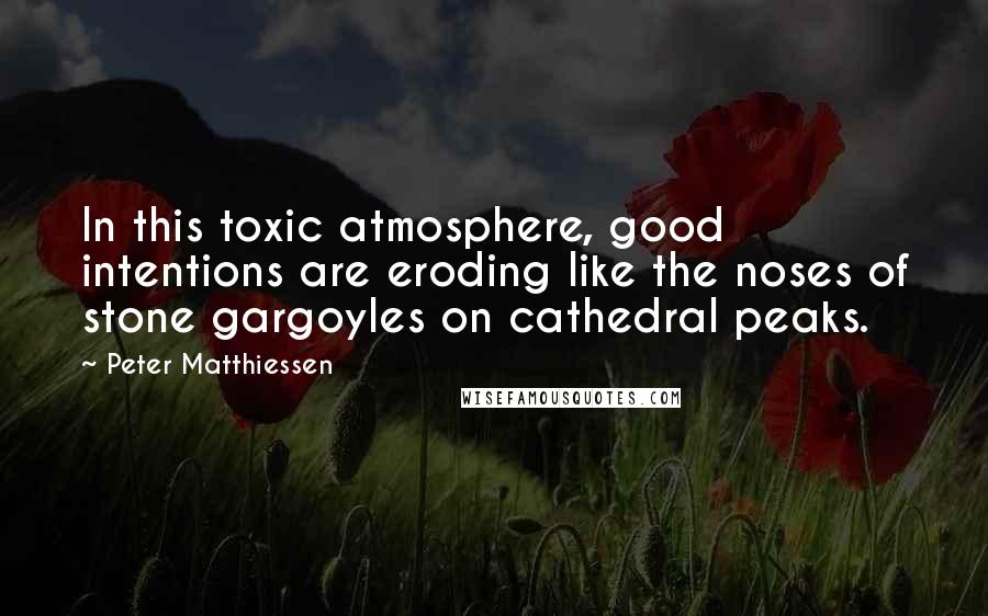 Peter Matthiessen Quotes: In this toxic atmosphere, good intentions are eroding like the noses of stone gargoyles on cathedral peaks.