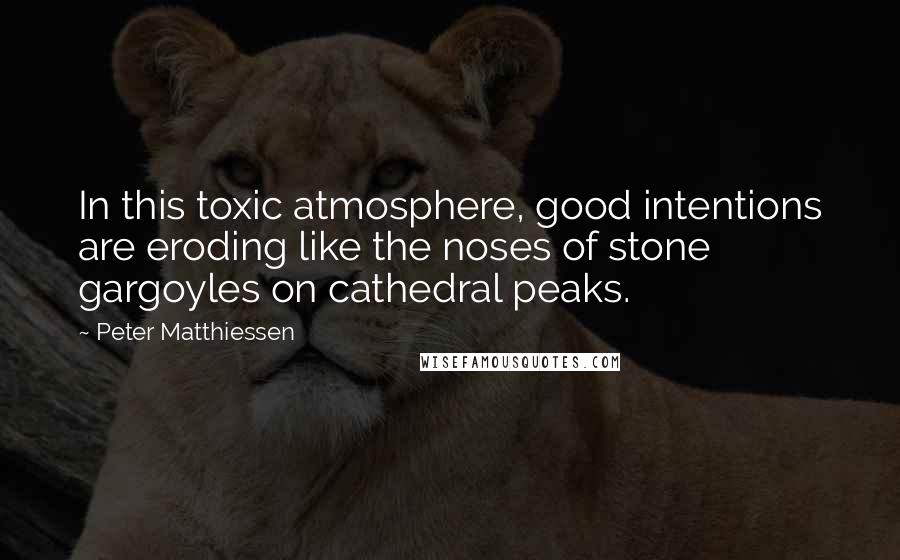 Peter Matthiessen Quotes: In this toxic atmosphere, good intentions are eroding like the noses of stone gargoyles on cathedral peaks.