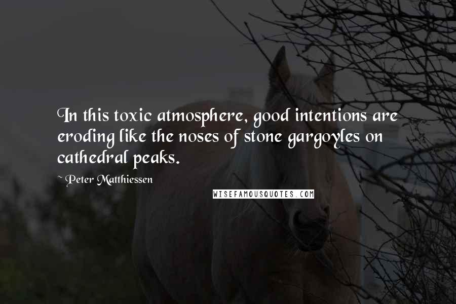 Peter Matthiessen Quotes: In this toxic atmosphere, good intentions are eroding like the noses of stone gargoyles on cathedral peaks.