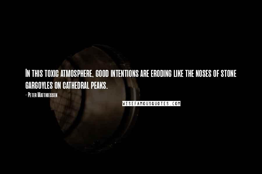 Peter Matthiessen Quotes: In this toxic atmosphere, good intentions are eroding like the noses of stone gargoyles on cathedral peaks.