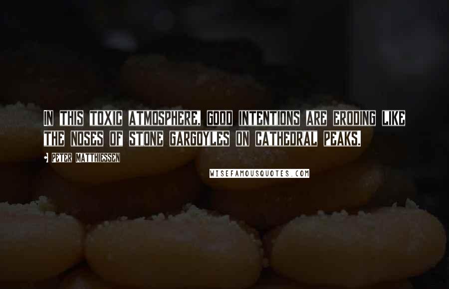 Peter Matthiessen Quotes: In this toxic atmosphere, good intentions are eroding like the noses of stone gargoyles on cathedral peaks.